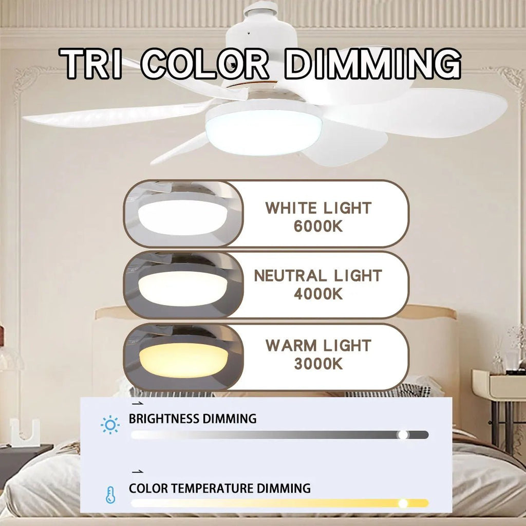 E27 with Remote LED 30W 40W Ceiling Fan Light Dimming Function Suitable for Living Room Study and Home Use 85-265V - LeeHT