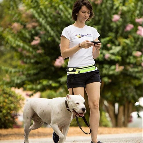 Hands Free Dog Leash Pet Walking And Training Belt With Shock - LeeHT