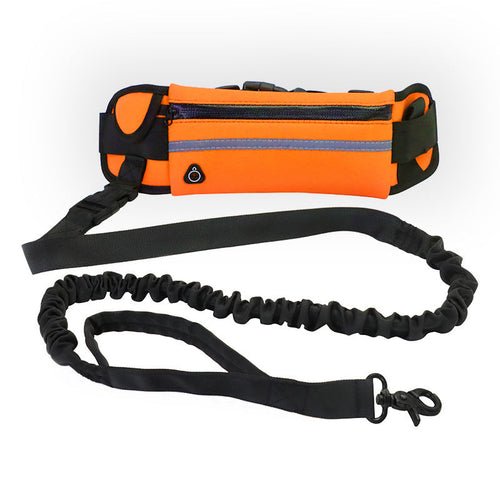 Hands Free Dog Leash Pet Walking And Training Belt With Shock - LeeHT