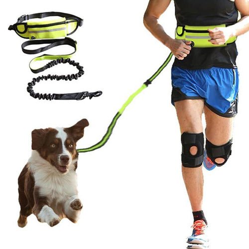 Hands Free Dog Leash Pet Walking And Training Belt With Shock - LeeHT