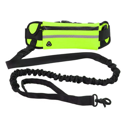 Hands Free Dog Leash Pet Walking And Training Belt With Shock - LeeHT
