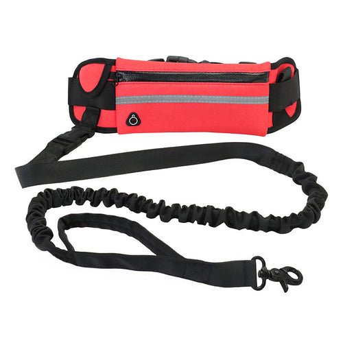 Hands Free Dog Leash Pet Walking And Training Belt With Shock - LeeHT