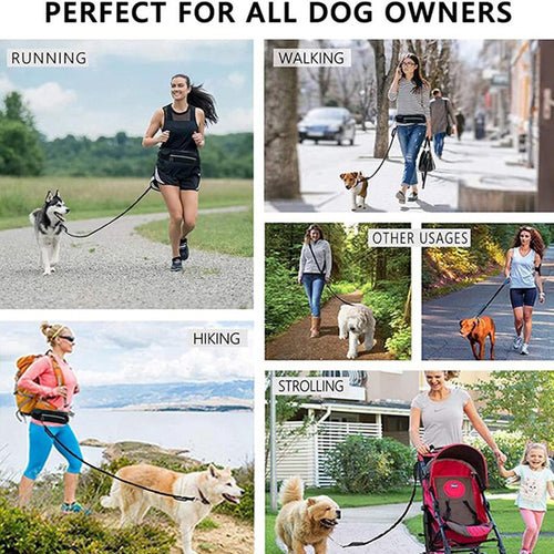 Hands Free Dog Leash Pet Walking And Training Belt With Shock - LeeHT