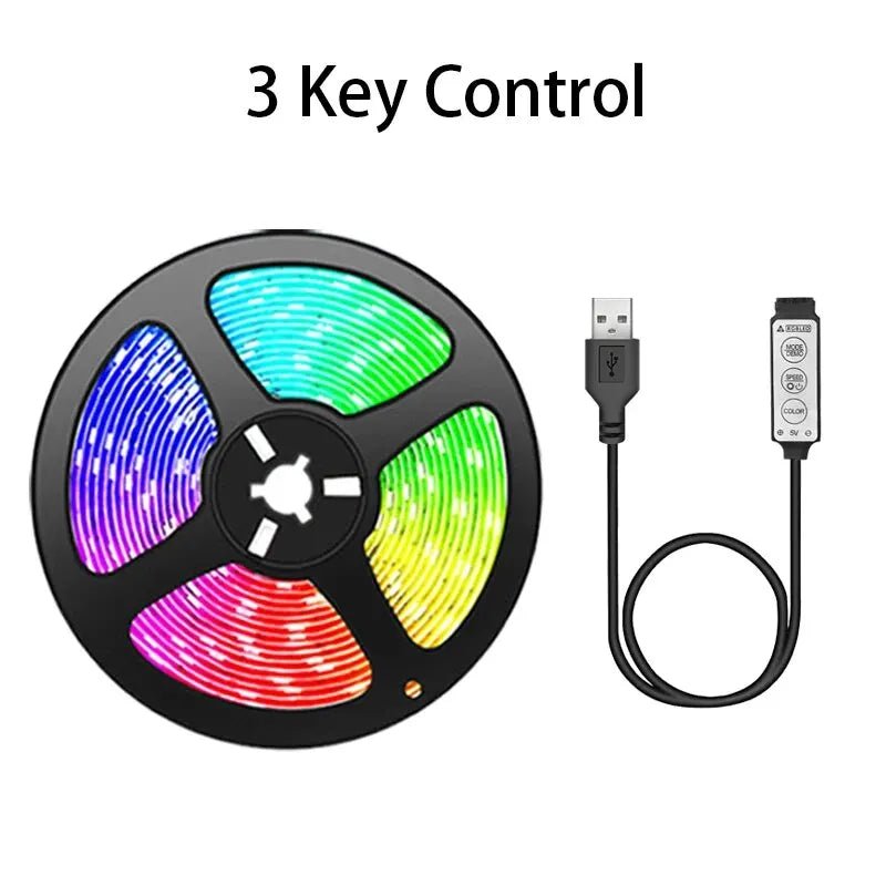 Led Lights for TV 3 Key Control Led Strip USB 5V Tape Lights for TV Backlight Home Party Decoration Flexible Ribbon - LeeHT