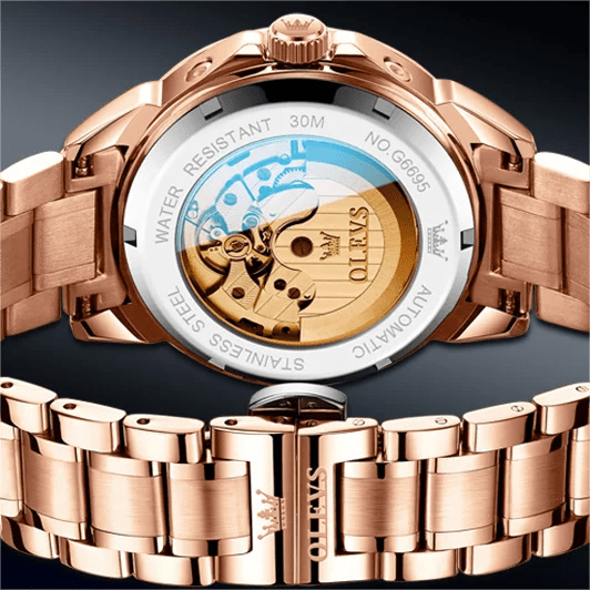 OLEVS 6695 Man Stainless Steel Mechanical Watches Luminous Hollow Out Moon Phase Automatic Movement Men Watch for Male Reloj - LeeHT