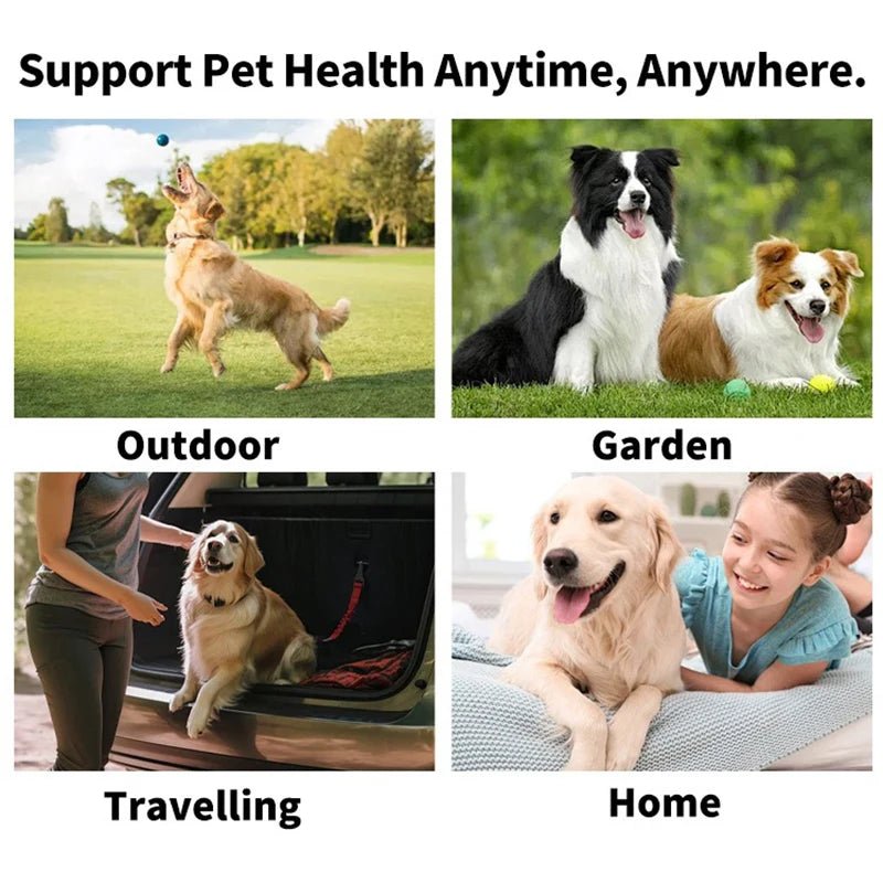 Pet Cleaning Products Disposable Finger Toothbrush Pet Teeth Cleaning Finger Covers Wet Wipes Dog and Cat Oral Cleaning - LeeHT